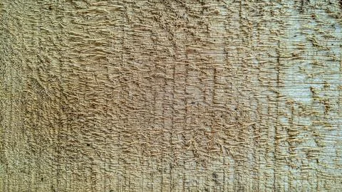 Wood grain texture, background surface with old natural pattern Foto stock