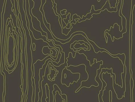 Wood grain texture. Vector 库存插图