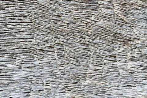 Wood gray texture for the background Foto stock
