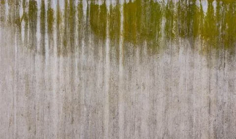 Wood, Ground, Wall surface texture for decoration background Stock Photos