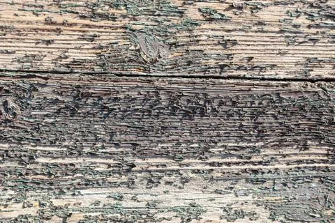 Wood, Ground, Wall surface texture for decoration background Stock Photos