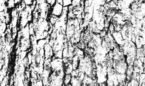 Wood halftone texture overlay. Vector background Stock Illustration