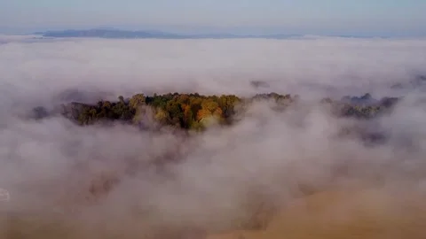 Wood hidden in the Mist 스톡 동영상 250441832