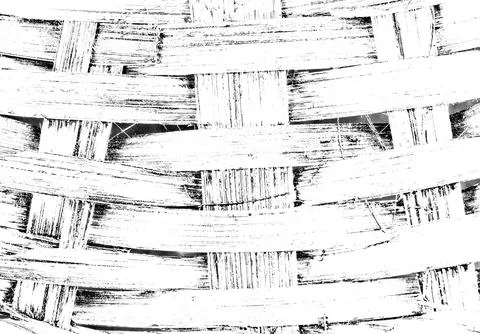 Wood Illustrazione stock