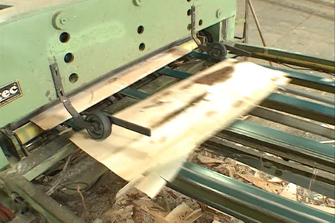 Wood industry, cuting sheets pine 스톡 동영상 37672114