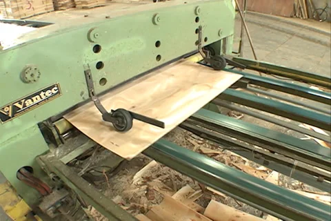 Wood industry SD-01 스톡 동영상 37671192