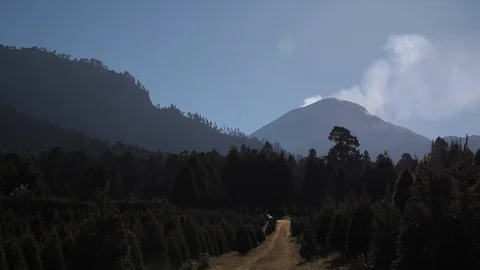 Wood landscape Stock Footage 121691577