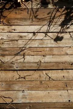 Wood line pattern Stock Photos