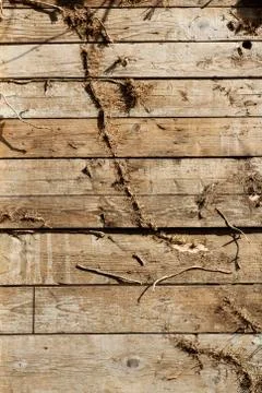Wood line pattern Stock Photos