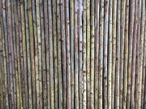 Wood lines texture background Stock Photos