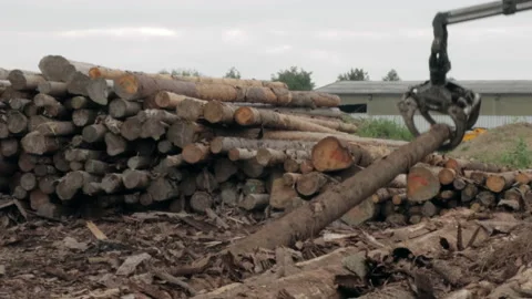 The wood loader picks up the log, moves it, and then releases it Stock Footage 141579212
