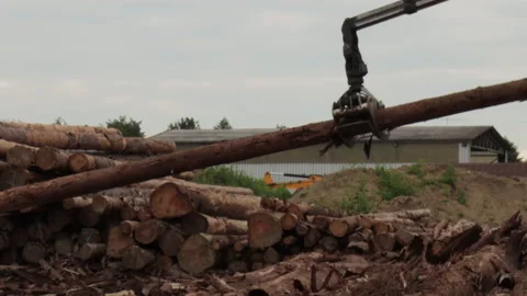 Wood-loading pliers is holding the log and move it on to another place Stock Footage 141578759