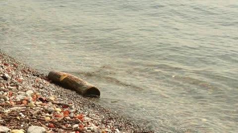 Wood Log on the Beach Stock Footage 24974266