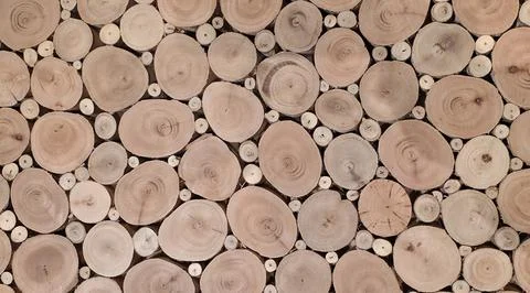 Wood Log Cross Section Pattern Natural Wooden Background Stock Photos