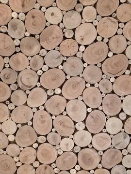 Wood Log Cross Section Pattern Natural Wooden Background Stock Photos