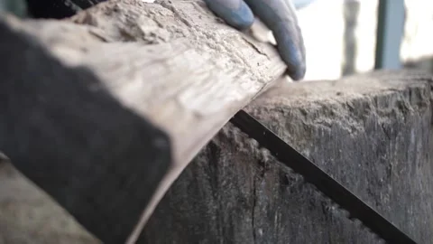 Wood log falling after cutting with hand saw slow motion Stock Footage 103246507