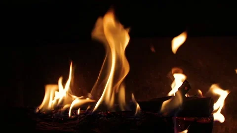 Wood log fire burning inside the fireplace Stock Footage 136986282