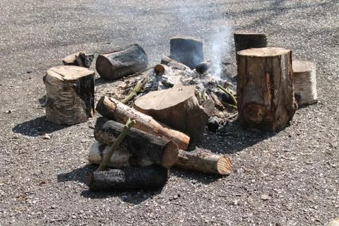 Wood Log Fire. Stock Photos