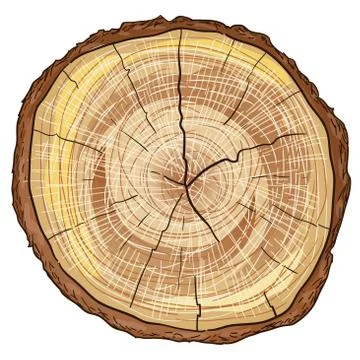 Wood Log Stock Illustration