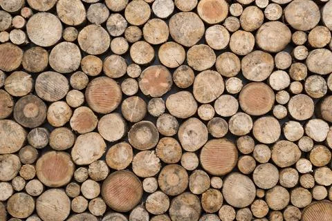 Wood log pattern background, close up design Stockfoto's