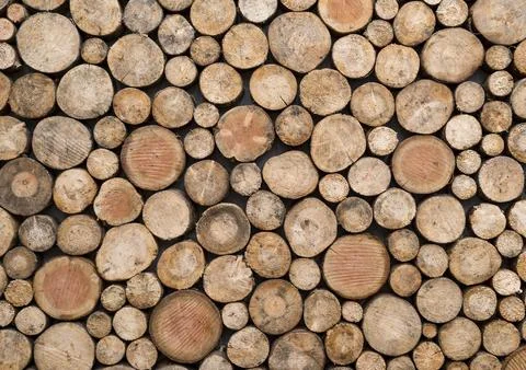 Wood log pile pattern background, circles design Stockfoto's