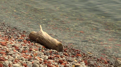 Wood Log by the shore Stock Footage 24974241
