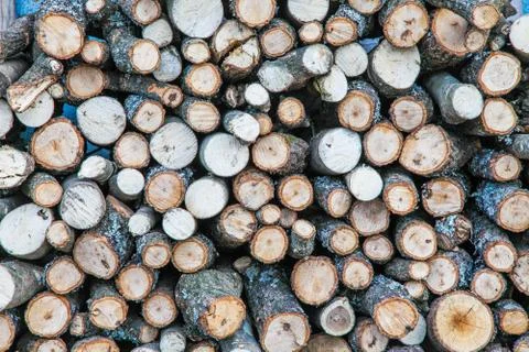 Wood log stack up Stock Photos