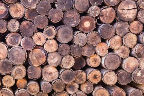 Wood log texture background Stock-Fotos