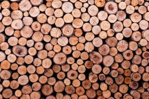 Wood log texture background Foto stock