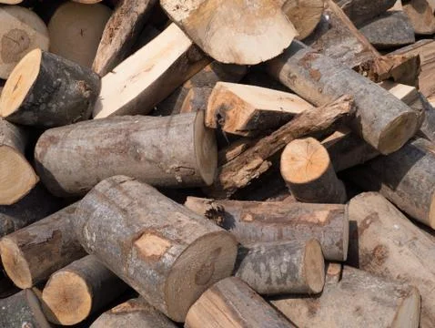 Wood log in the yard view  Stock Photos