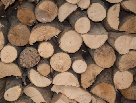Wood log in the yard view  Stock Photos