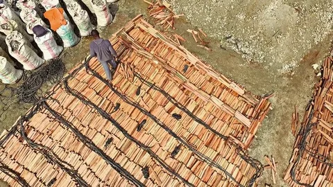 Wood logs drying site near river Stock Footage 81663178