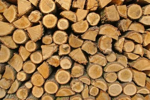 Wood logs pattern Stock Photos