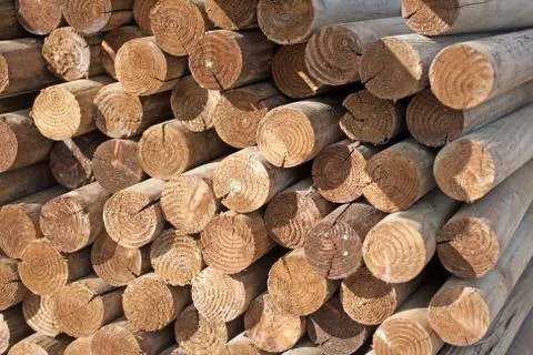 Wood logs Stock Photos