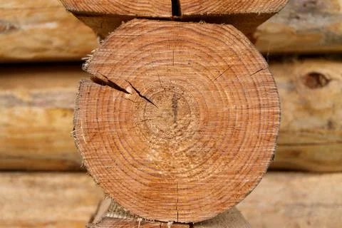 Wood logs Stock Photos