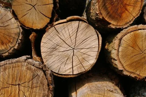 Wood logs Stock Photos