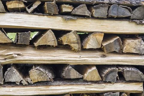 Wood logs prepared to dry Foto stock