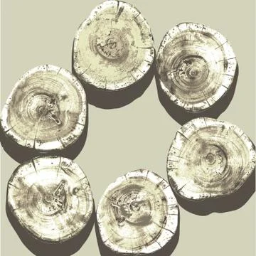 Wood logs sections textures Stock Illustration