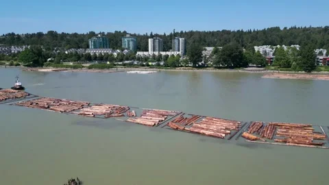 Wood logs from the timber industry floating down a river in Vancouver, BC Stock Footage 217410314