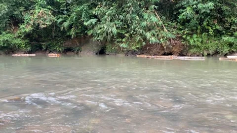 Wood logs transported through flowing river Video stock 312399428
