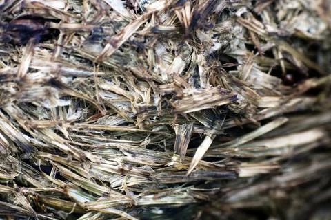 Wood macro background. Stock Photos