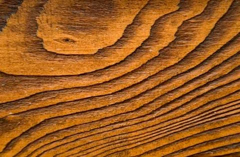 Wood macro texture Stock Photos