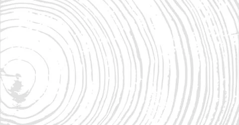 Wood material surface tree age rings texture. Wooden rings surface. 4K rings  Stock Illustration