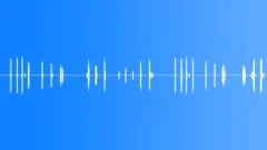 WOOD, MOVEMENT Sound Effect