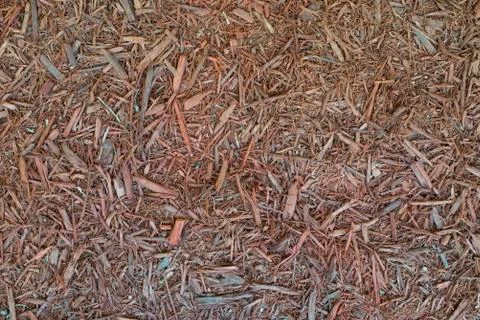 Wood mulch texture 스톡 사진