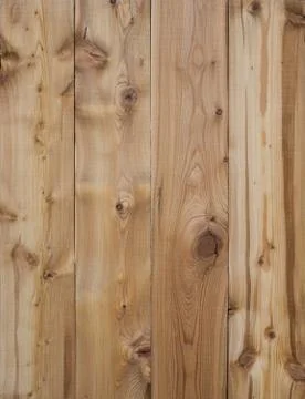 Wood natural larch solid texture Stock Photos