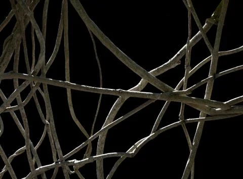 Wood network Foto stock