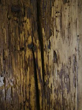 The wood is old and has been damaged by insects Stock Photos