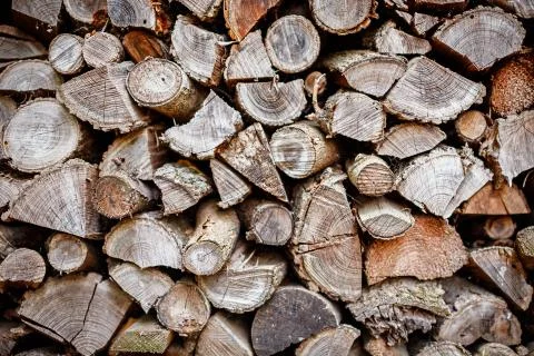 Wood  old background Stock Photos