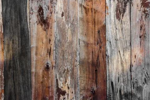 Wood panel background Stock Photos